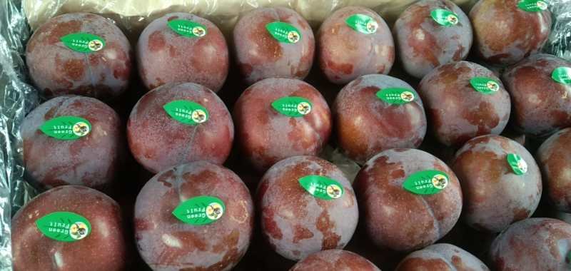 黑布林李子新鲜与腐烂对比图