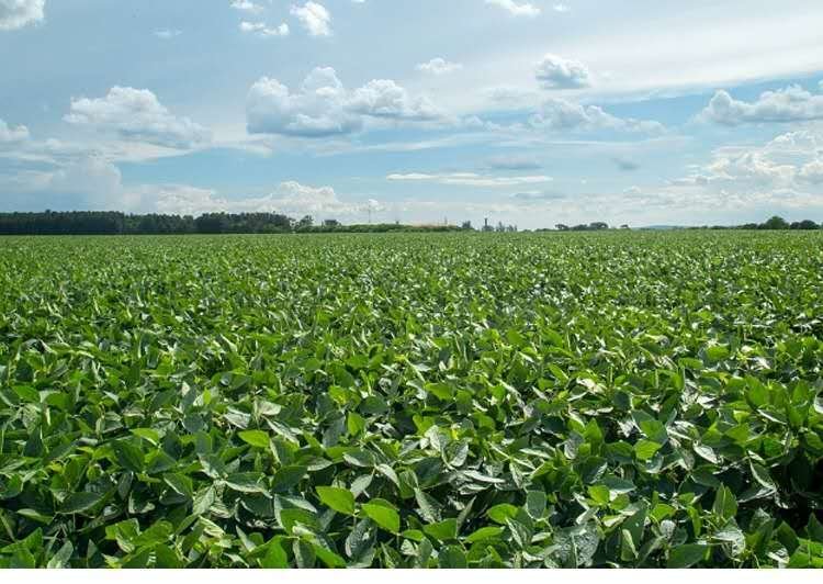 2023年大豆种植区的智能农机作业场景