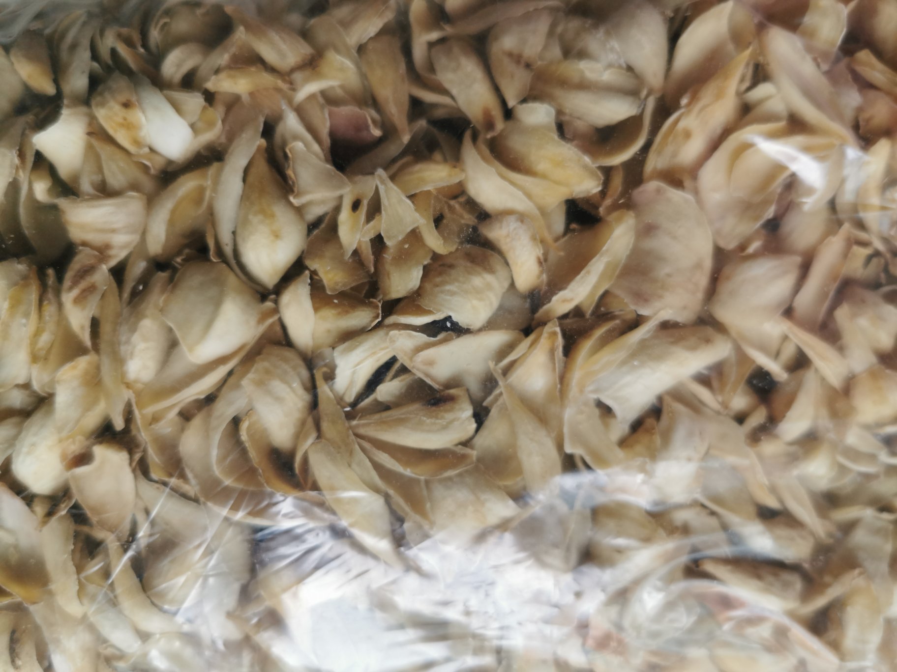 百合绿豆汤原材料特写：左侧为优质淡黄色龙牙百合干（瓣厚微弯、表面蜡质光泽明显），右侧为鲜绿饱满的明绿豆（带天然蜡质层），中间铺有清水冲洗后的沥水篮，背景为玻璃碗中浸泡中的百合与淘洗后的绿豆