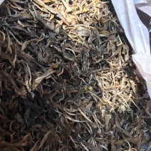 缅北百年古树茶