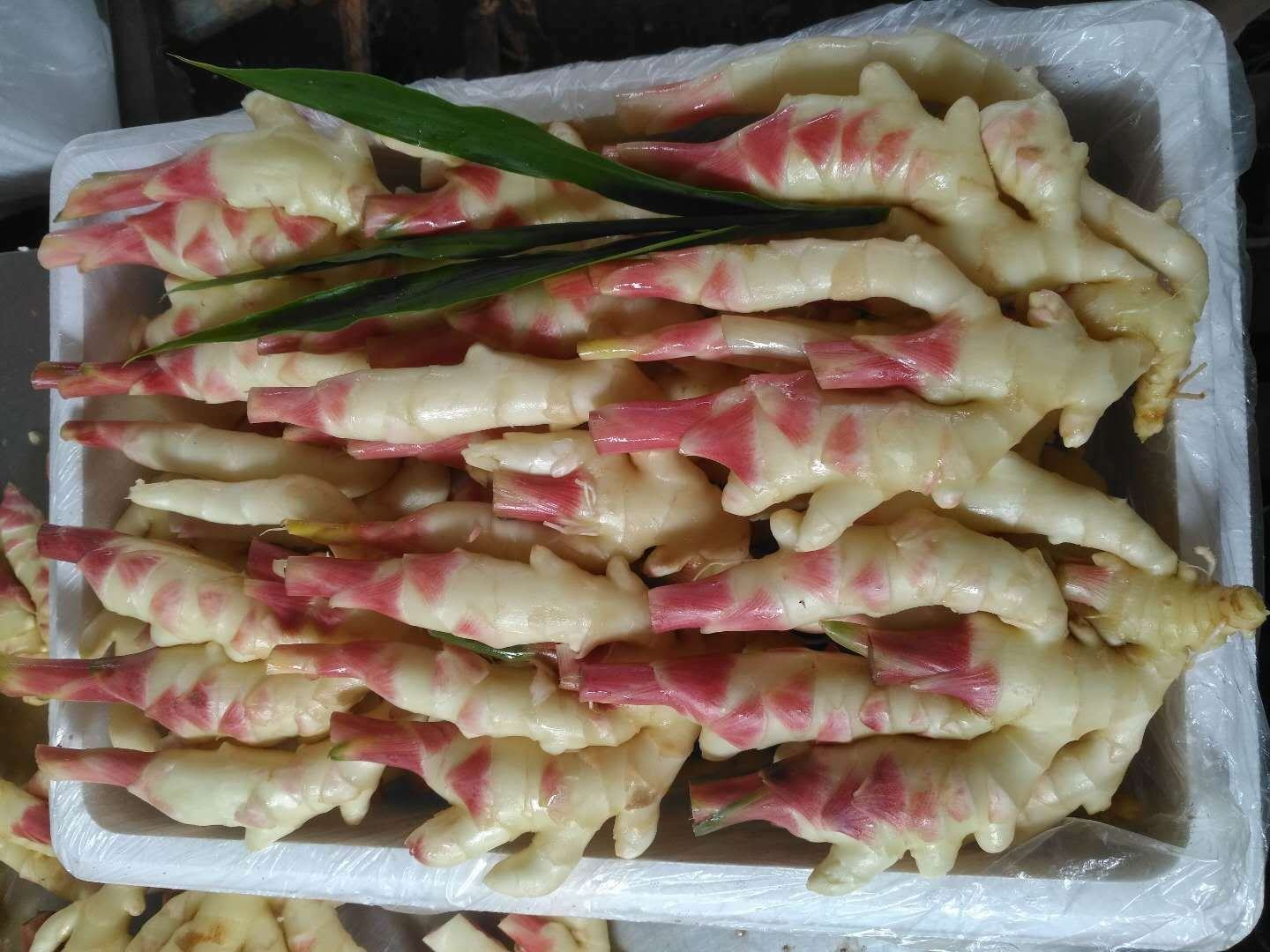 子姜处理过程