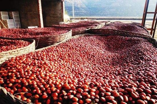 金黄色的酥枣散落在木质托盘上，背景为传统农家院落，阳光洒落，凸显自然晾晒场景