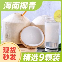 海南椰青喝了又想喝的椰子