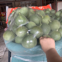 精品香瓜羊角蜜八里香金妃白糖罐批发
