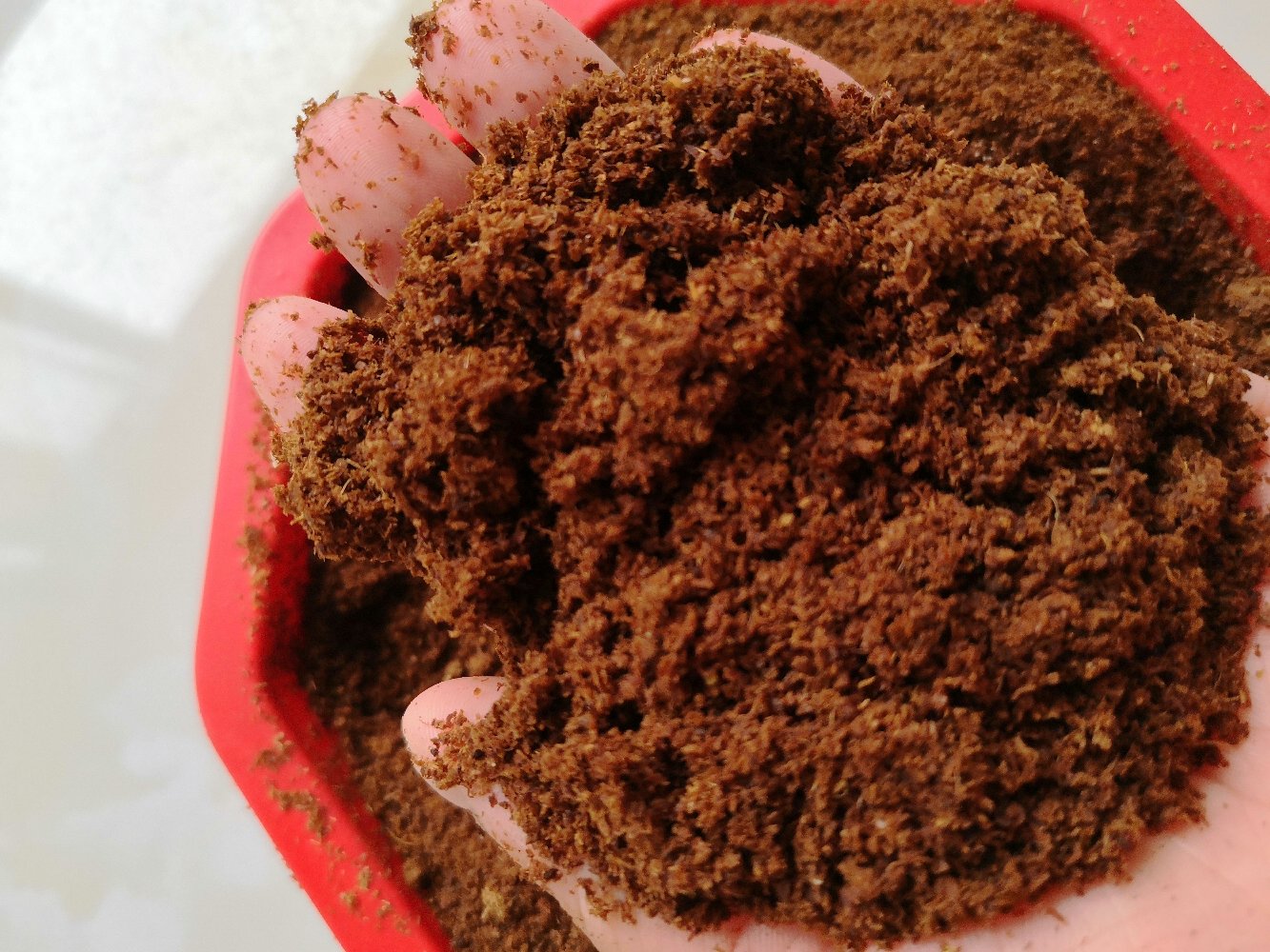 生物防治应用现场图