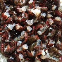 新鲜虾尾