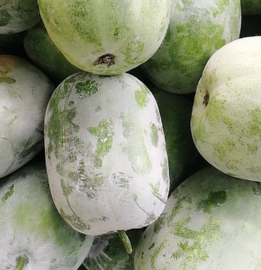实心优质小白冬瓜水果冬瓜