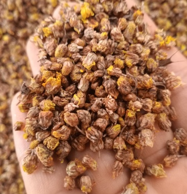 野菊花质量好各种规格无硫磺熏蒸过沫筛