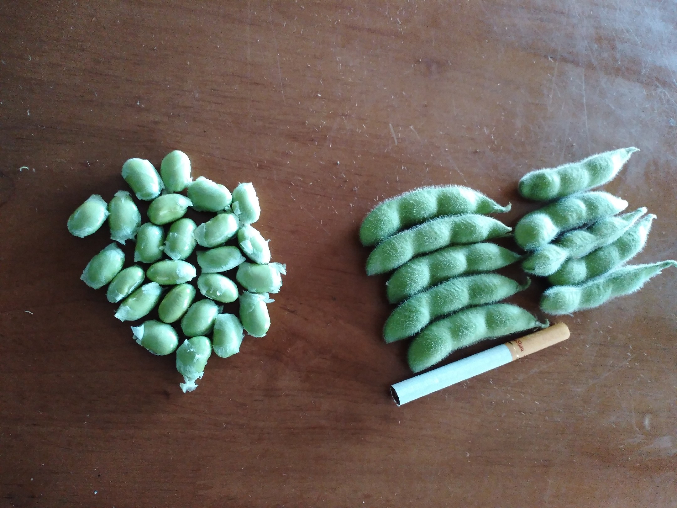 展示豌豆与毛豆的外观差异,包括豆荚形状、颜色及豆粒大小 豌豆与毛豆的形态对比