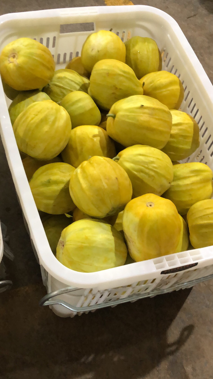 [甜瓜批发]湖北汉川精品丑八怪已上市,欢迎新老客户前来.价格1.