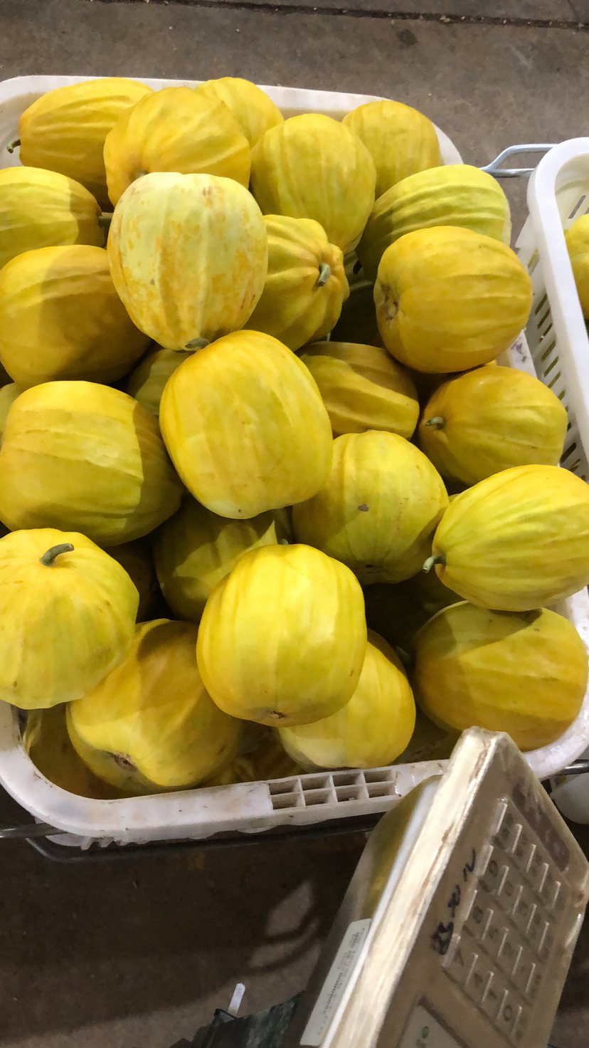 [甜瓜批发]湖北汉川精品丑八怪已上市,欢迎新老客户前来.价格1.