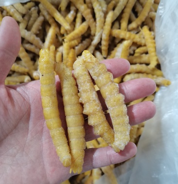 [豆丹批发]豆虫大豆青虫新鲜活速冻价格40.00元/斤 - 一亩田