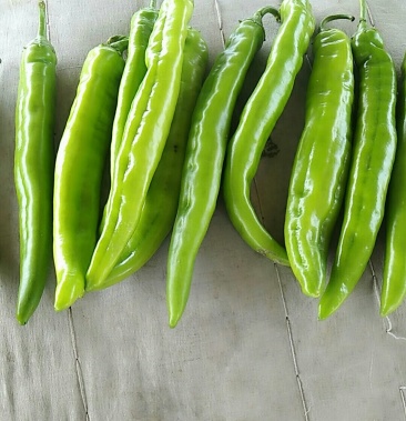 [鲜辣椒批发]青皮椒价格1.00元/斤 - 一亩田