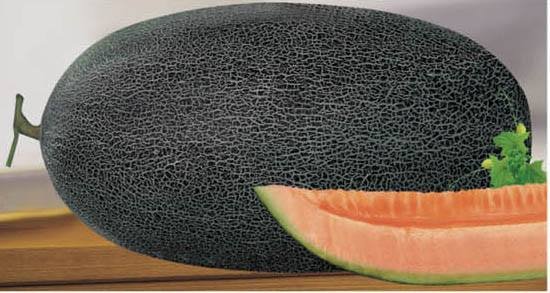 红心脆伽师瓜特写