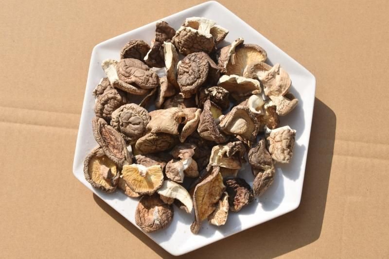 干香菇与新鲜香菇对比图