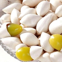 白果，常年批发供应药食同源白果中药材