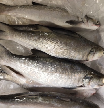 午鱼新鲜好货到货付款