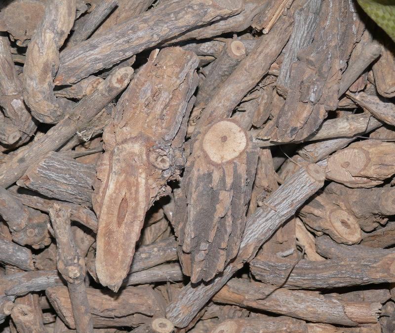 钩吻,常年批发供应冷背中药材钩吻,量大从优