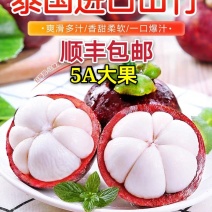 山竹一件代发电商微商顺风顺水对接包邮包售后