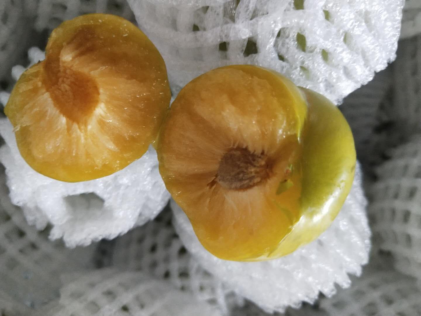 蜂糖李果实特写