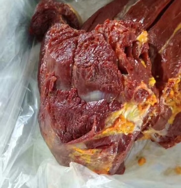 马肉蒙古生马肉草原放养马肉