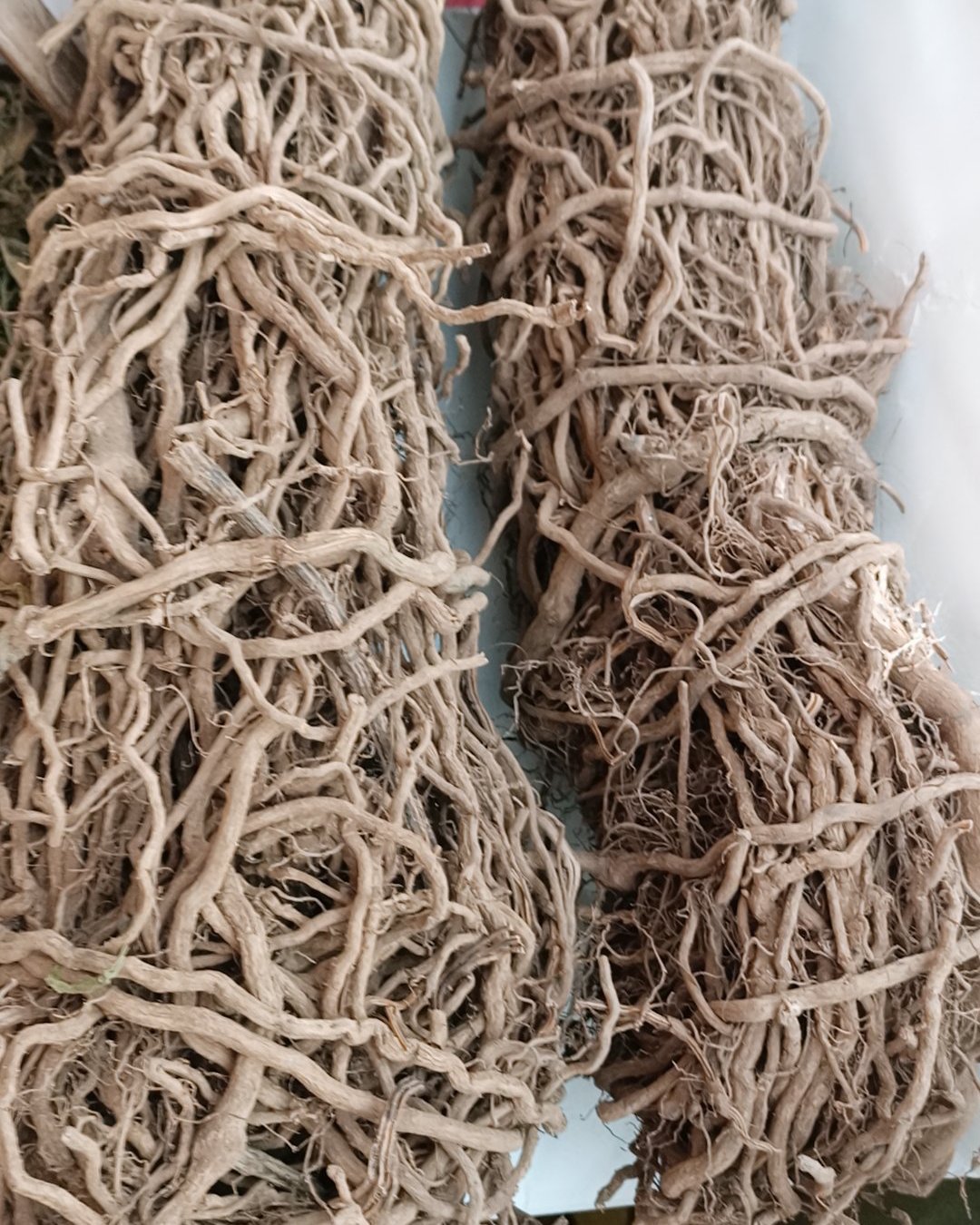 中药材通城虎根定心草根五虎通城根血蒌根中草药