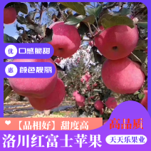 〔正宗〕洛川红富士【品相好】甜度高商超品质全国供应