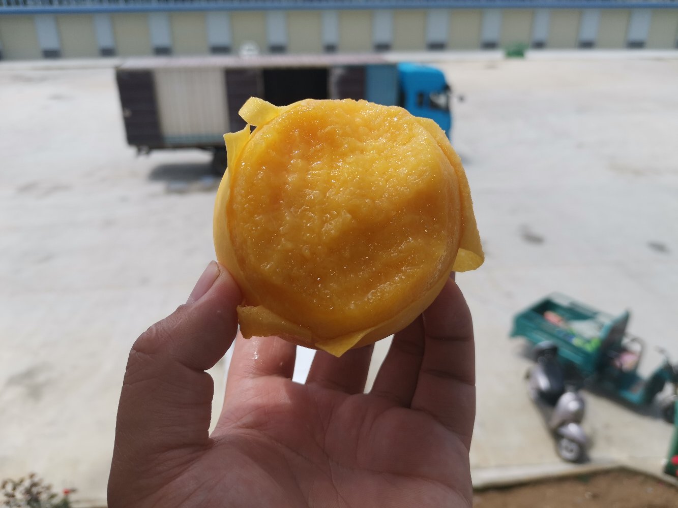 83黄桃与其他水果对比图