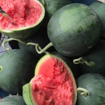 无籽墨瞳西瓜超甜莎密佳原苗不嫁接口感好墨童西瓜 大基地有规模 保熟