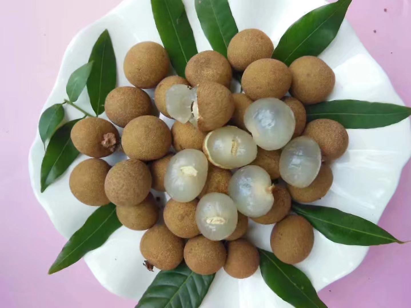 国际水果展会上的龙眼展台