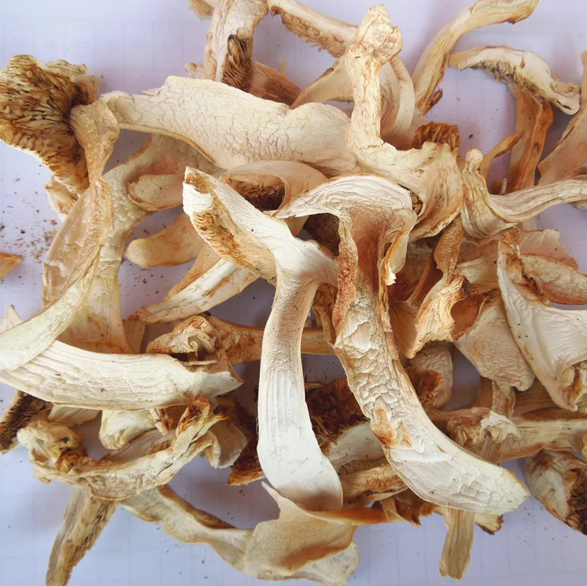 松茸与辽参食材图