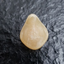 青鱼