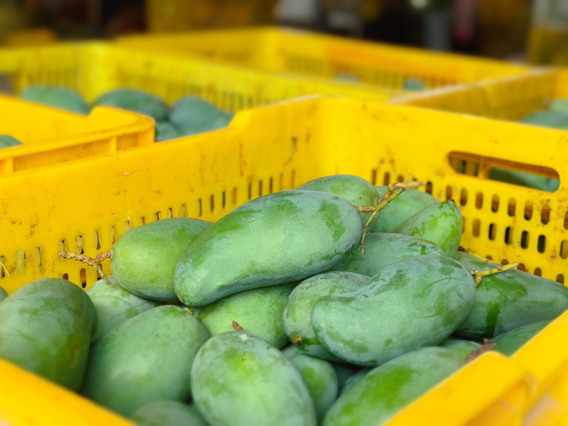 桂七芒市场销售场景
