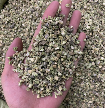 蒺藜一公斤起批无硫磺熏蒸