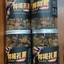 桦树茸