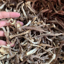 鹿茸菌干货产地直销可视频看货支持线上保障交易