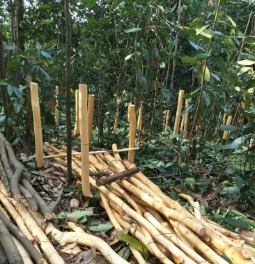 [桂皮批发]产地直销2020干桂皮,一看货源,没放任何添加剂.价格9.80元/