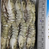 越南草虾6盒装650克净重