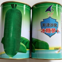 天津沙窝冰糖萝卜种子里外绿色水分多质细味甜