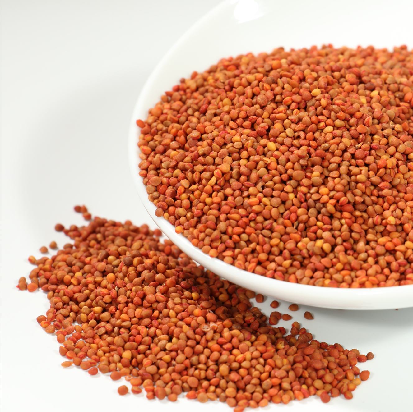 [楮实子批发]楮实子 正品干净无杂质 量大从优中药材批发零售价格45.