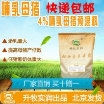 母猪预混料母猪饲料哺乳母猪预混料高档哺乳期专用预混料