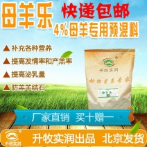 繁殖母羊种羊饲料母羊预混料母羊奶羊预混料空怀妊娠哺乳期用