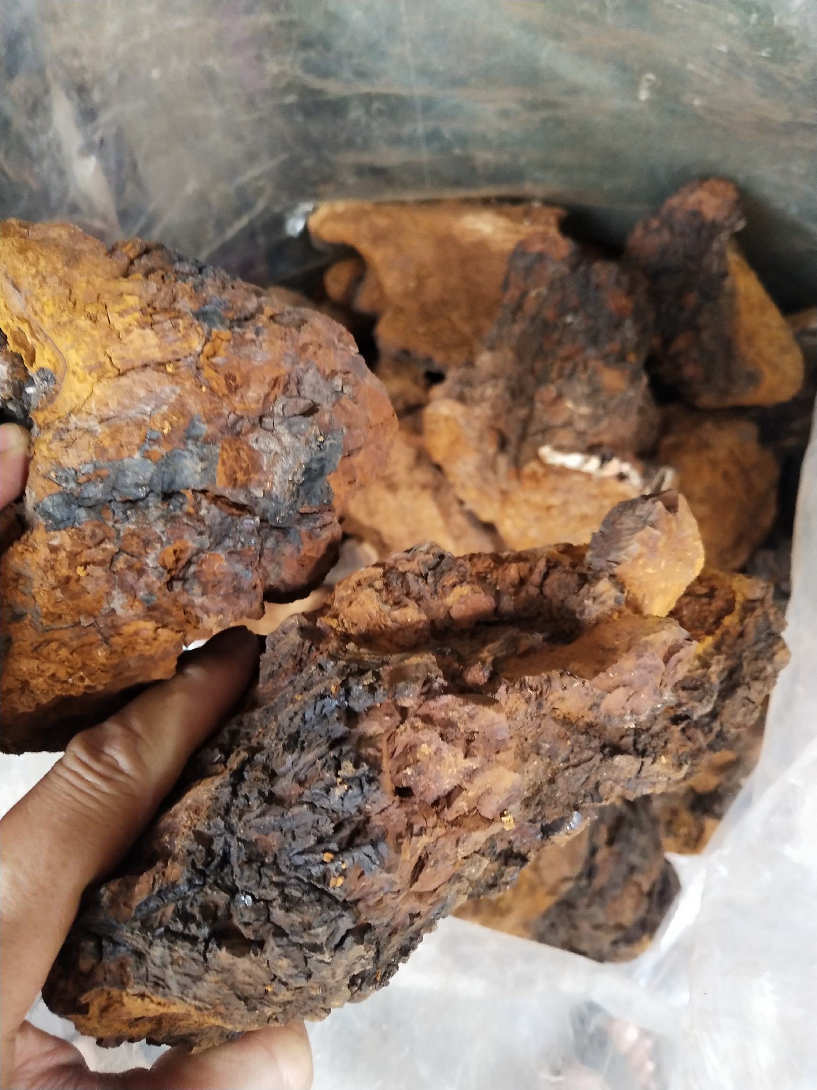 野生中药材桦树茸,桦树茸,批发零售,价格实惠