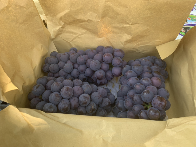 京亚葡萄制作成果汁饮品