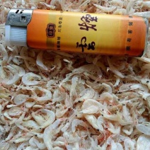 虾皮，渤海湾虾皮，毛虾，一手货源，量大从优