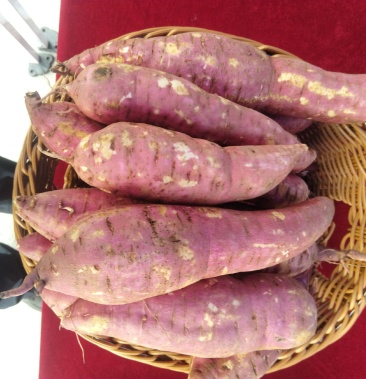 [批发]薯芋类价格2.00元/斤 - 一亩田