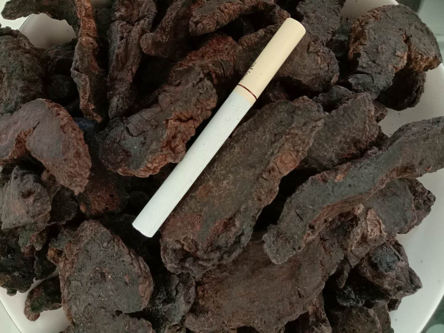 熟地黄与熟地炭的植物来源对比图