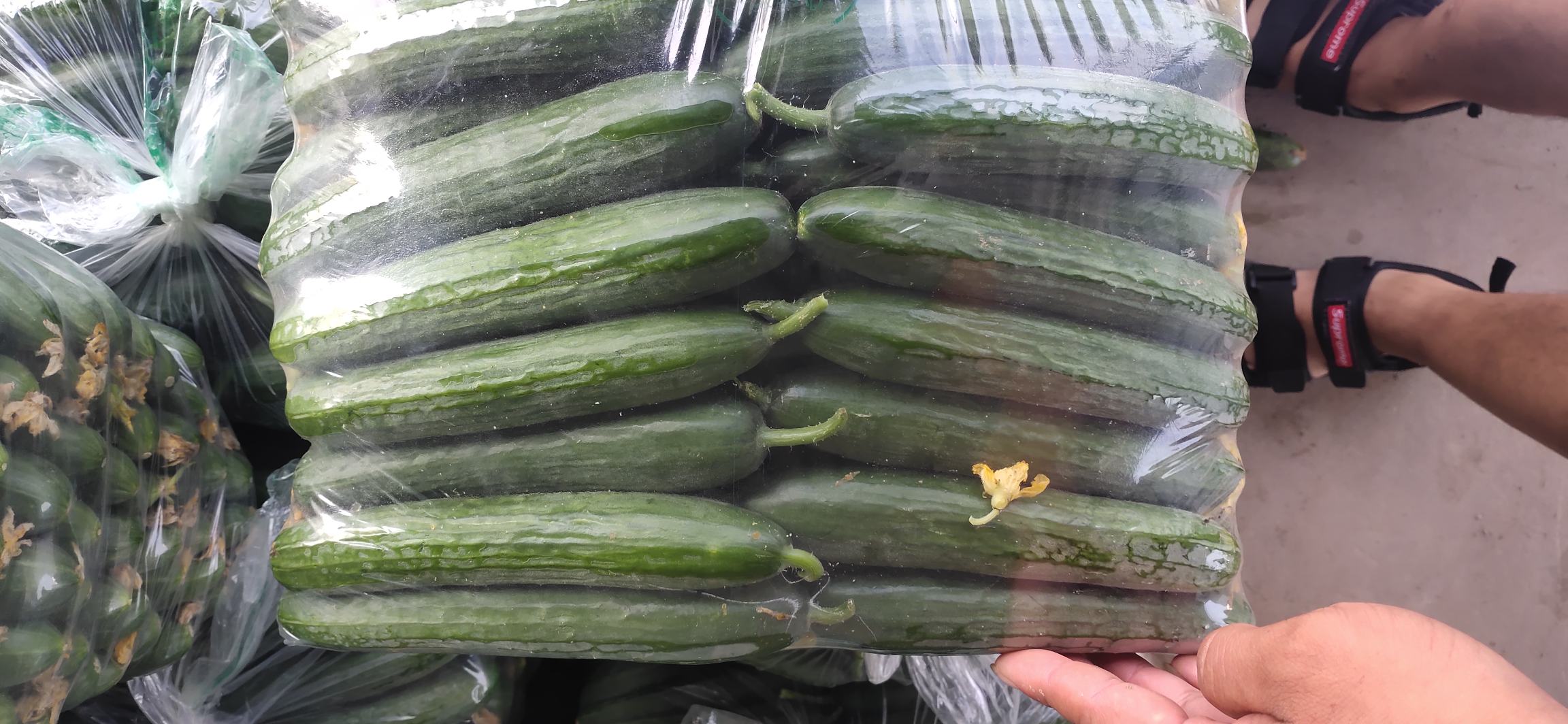 延边酸甜小黄瓜包装与销售渠道展示图