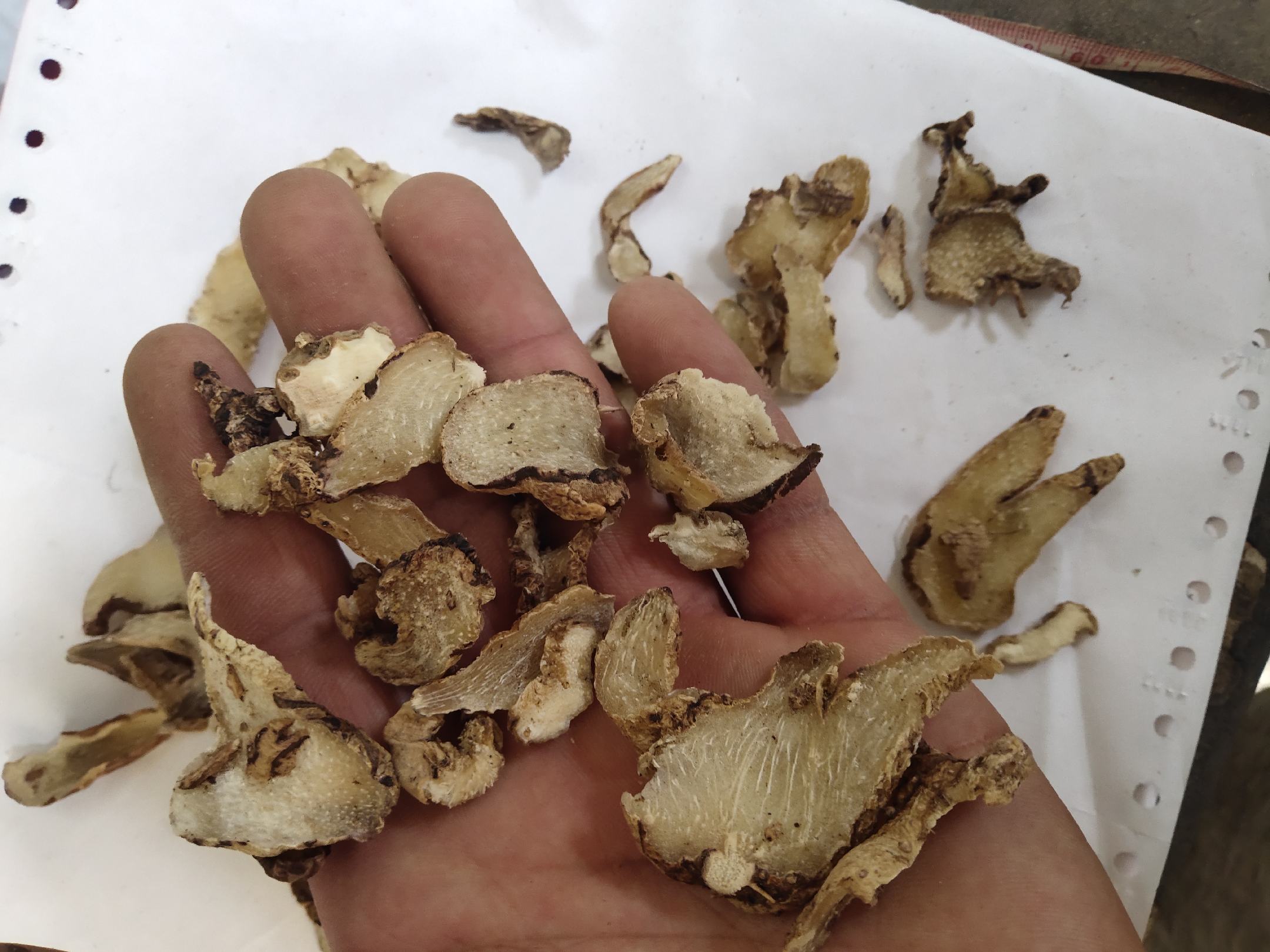 中药白芨展示图