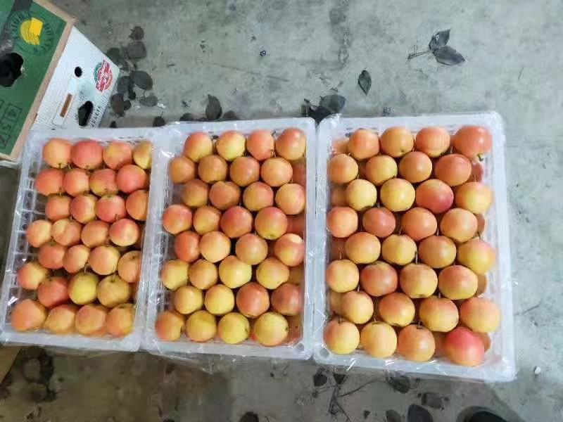 南果梨加工产品展示图